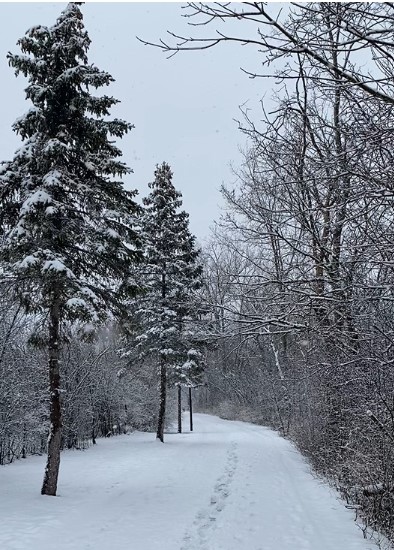 B2B Trail in winter