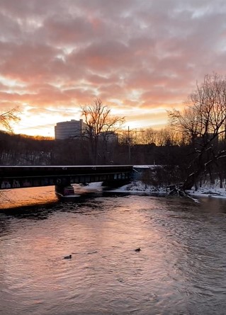 Winter sunrise, Ann Arbor